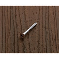Starborn Wood Screw, #9, 1-7/8 in, Torx Drive, 100 PK FST73L09188